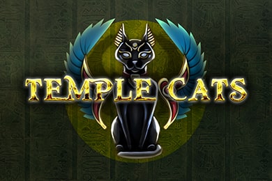 Играть в Templecats Вулкан Вегас Казино