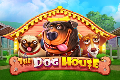 The Dog House играть в Вулкан Вегас Казино