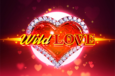 Играть в Wild Love Вулкан Вегас Казино